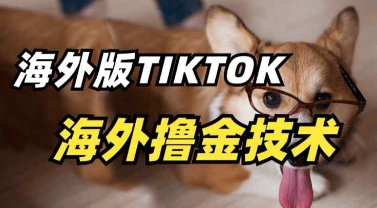 抖音海外版tiktok撸金技术，这个风口行业，赚钱真的不难【揭秘】-天天有课网