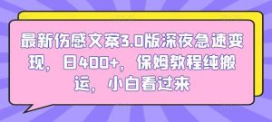 最新伤感文案3.0版深夜急速变现，日400+，保姆教程纯搬运，小白看过来-天天有课网