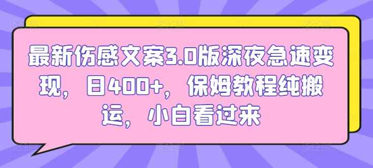 最新伤感文案3.0版深夜急速变现，日400+，保姆教程纯搬运，小白看过来-天天有课网