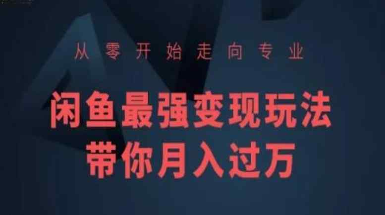 从零开始走向专业，闲鱼最强变现玩法带你月入过万-天天有课网