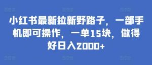 小红书最新拉新野路子，一部手机即可操作，一单15块，做得好日入2000+【揭秘】-天天有课网