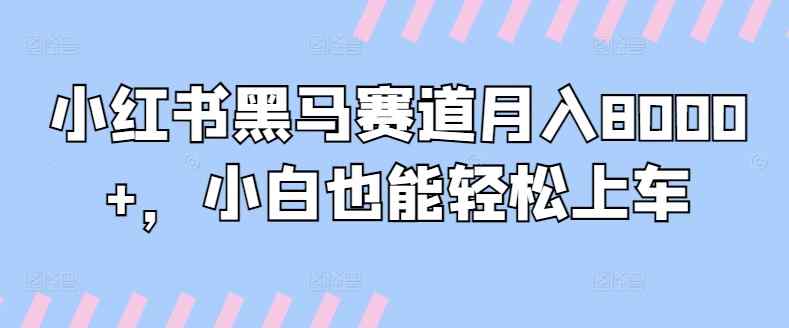 小红书黑马赛道月入8000+，小白也能轻松上车-天天有课网