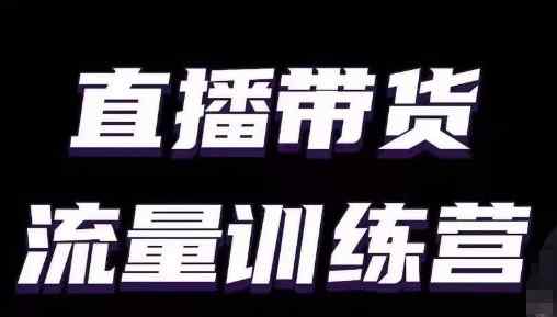 直播带货流量训练营，小白主播必学直播课-天天有课网