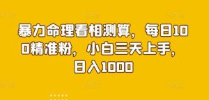 暴力命理看相测算，每日100精准粉，小白三天上手，日入1000-天天有课网