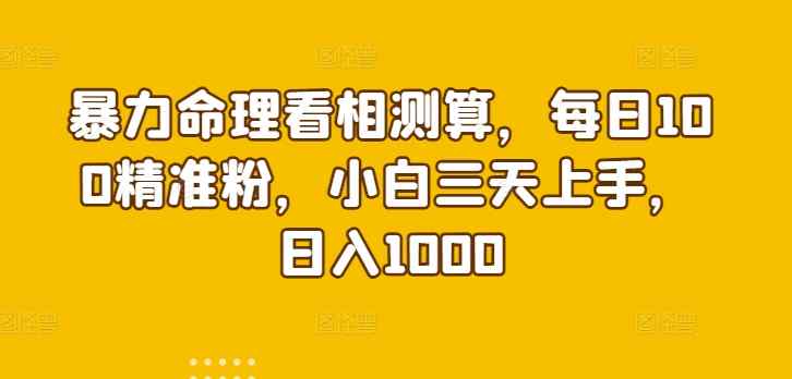 暴力命理看相测算，每日100精准粉，小白三天上手，日入1000-天天有课网