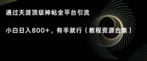 天涯顶级神帖项目，全平台引流小白日入800+，有手就行(内含教程资源合集)-天天有课网