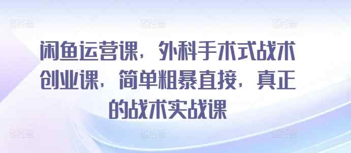 闲鱼运营课，外科手术式战术创业课，简单粗暴直接，真正的战术实战课-天天有课网