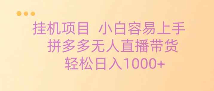 挂机项目拼多多无人直播带货，轻松日入1000+-天天有课网