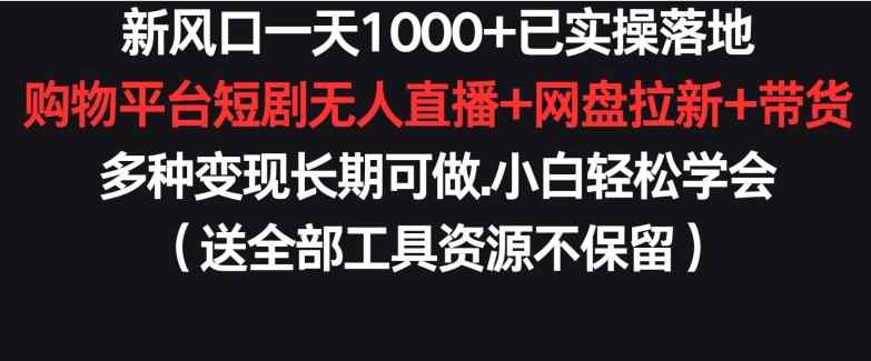 新风口一天1000+已实操落地购物平台短剧无人直播+网盘拉新+带货多种变现长期可做【揭秘】-天天有课网