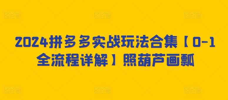2024拼多多实战玩法合集【0-1全流程详解】照葫芦画瓢-天天有课网