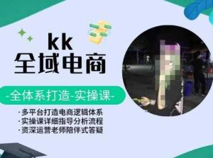 KK全域电商，全体系打造实操课，多平台打造电商逻辑体系-天天有课网
