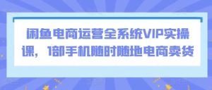 闲鱼电商运营全系统VIP实操课,1部手机随时随地电商卖货-天天有课网