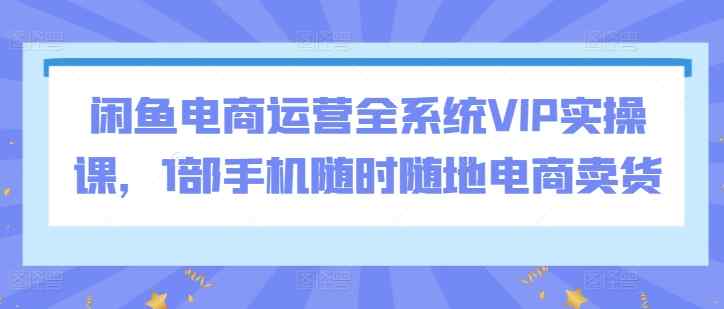 闲鱼电商运营全系统VIP实操课，1部手机随时随地电商卖货-天天有课网