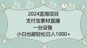 2024年蓝海项目,支付宝素材直播,无需出境,小白也能日入1000+ ,实操教程【揭秘】-天天有课网