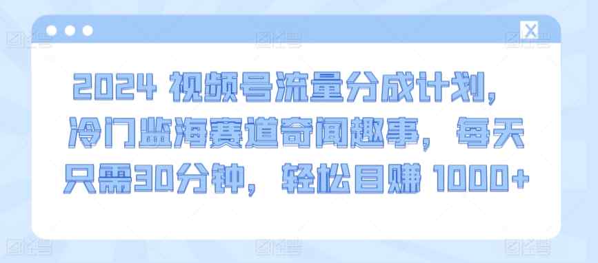 2024视频号流量分成计划，冷门监海赛道奇闻趣事，每天只需30分钟，轻松目赚 1000+【揭秘】-天天有课网