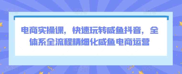 电商实操课，快速玩转咸鱼抖音，全体系全流程精细化咸鱼电商运营-天天有课网