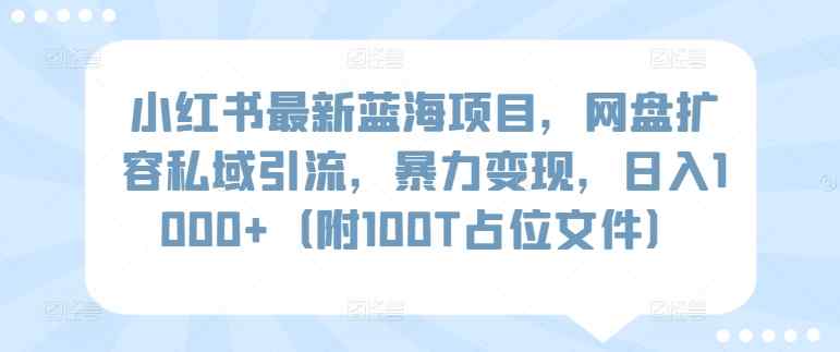 小红书最新蓝海项目，网盘扩容私域引流，暴力变现，日入1000+【揭秘】-天天有课网