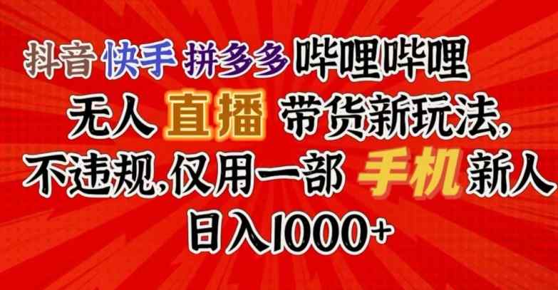 抖音快手拼多多哔哩哔哩无人直播带货新玩法，不违规，仅用一部手机新人日入1000+-天天有课网
