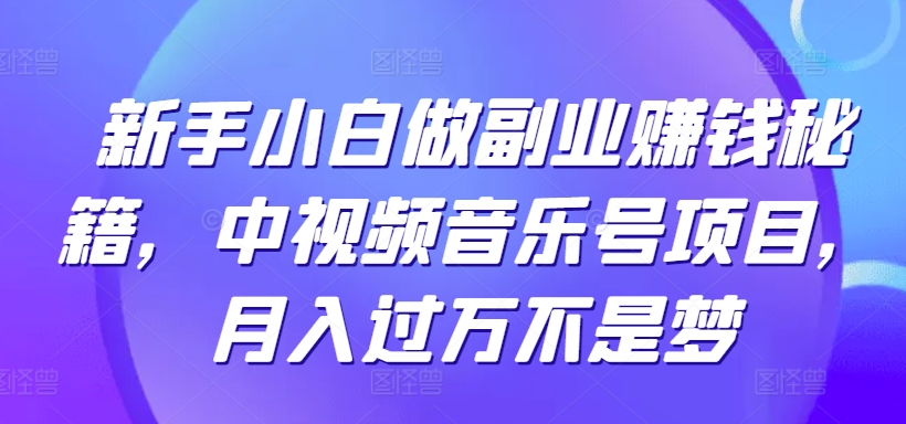 新手小白做副业赚钱秘籍，中视频音乐号项目，月入过万不是梦-天天有课网