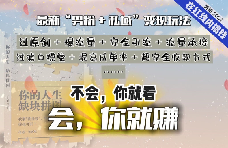 2024，“男粉+私域”还是最耐造、最赚、最轻松、最愉快的变现方式【揭秘】-天天有课网