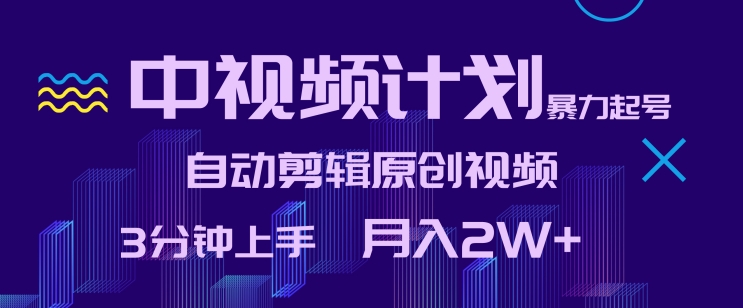 中视频计划暴力起号，自动剪辑原创视频，3分钟上手，月入2W+【揭秘】-天天有课网
