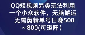 QQ短视频另类玩法，利用一个小众软件，无脑搬运，无需剪辑单号日赚500～800(可矩阵）-天天有课网