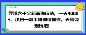 寻道大千全新蓝海玩法,一天4000+,小白一部手机即可操作,无脑变现玩法!-天天有课网