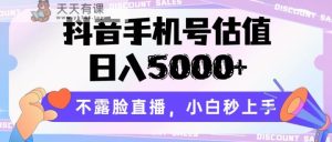 抖音手机号公司估值，日入5000 ，不露脸直播，新手秒入门-天天有课网