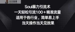 Soul暴力引流术，一天轻松引流100＋精准流量，适用于各行业，简单易上手！-天天有课网