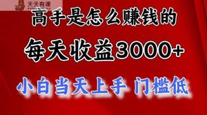 大神是如何一天赚3000 的，新手当日入门，翻盘新项目，很稳定。-天天有课网