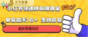 小红书快速种草赚佣金，零撸单号每天16+ 支持多号操作-天天有课网