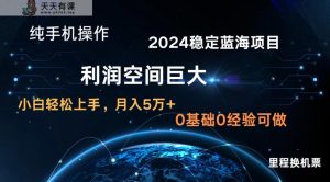 2024新蓝海项目 暴力行为小众持续稳定 纯手机操控 单日盈利3000 新手当日入门-天天有课网