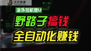 海外挂机撸U新平台,日赚15美元,全程无人值守,可批量放大,工作室内部项目!-天天有课网