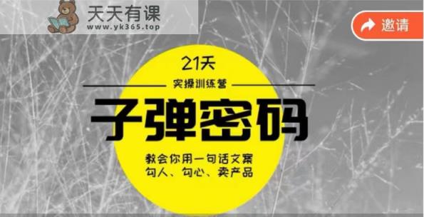 《子弹密码训练营》用一句话文案撩人勾心推销产品，21天学习到顶尖文案高手方案和方法-天天有课网