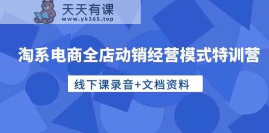 淘系电商全店动销经营模式特训营，线下课录音+文档资料-天天有课网