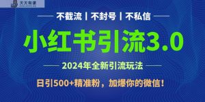 2024年4月最新小红书引流3.0玩法，日引500+精准粉，加爆你的微信！-天天有课网