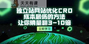 独立站网站优化CRO，成本最低的方法，让你销量翻3-10倍-天天有课网