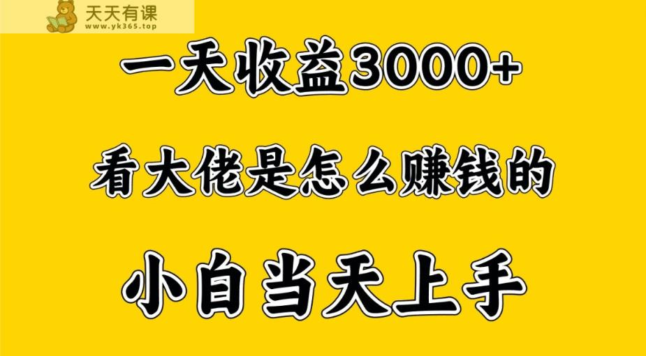 一天赚3000多，大佬是那样赚大钱的，新手当日入门，穷人翻身新项目-天天有课网