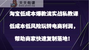 淘宝网降低成本爆品流实战演练私教，降低成本中低风险轻松玩电子商务盈利，帮助企业快速复制落地式！-天天有课网