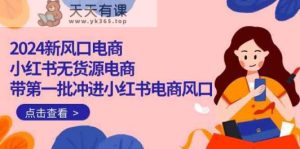 2024新蓝海电子商务，小红书的无货源电商，带第一批冲入小红书电商出风口-天天有课网
