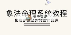 象法八字命理系统教程，最逻辑清晰逻辑性讲解的八字命理-天天有课网