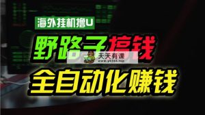 国外放置挂机撸U新渠道，日赚8-15美金，全过程无人化，可大批量变大，个人工作室…-天天有课网