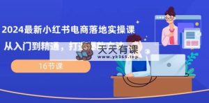 2024全新小红书电商落地式实操课，实用教程，推出爆款方式-天天有课网