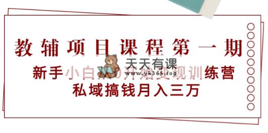教辅书项目课程第一期：新手入门从0逐渐转现夏令营  公域弄钱月入三万-天天有课网