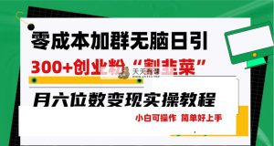 零成本加群日引300+创业粉割韭菜月六位数变现，简单无好上手！-天天有课网