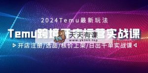 2024Temu跨境开店运营实战课，开店注册/选品/核价上架/日出千单实战课-天天有课网
