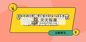 拼多多培训第33期：小众蓝海选品2.0技术-蓝海选品实操！-天天有课网