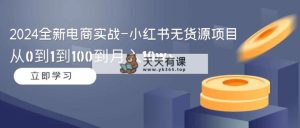 2024全社区电商实战演练-小红书的无货源电商新项目：从0到1到100到月入10w-天天有课网