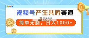 2024年微信视频号，引起共鸣跑道，简易没脑子，一分钟一条视频，日入1000-天天有课网