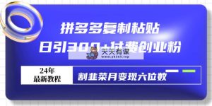 拼多多复制黏贴日引300 付钱自主创业粉，当韭菜割月转现六位数全新实例教程！-天天有课网